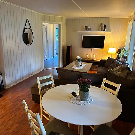 Flott Leilighet Odda-roldal Røldal