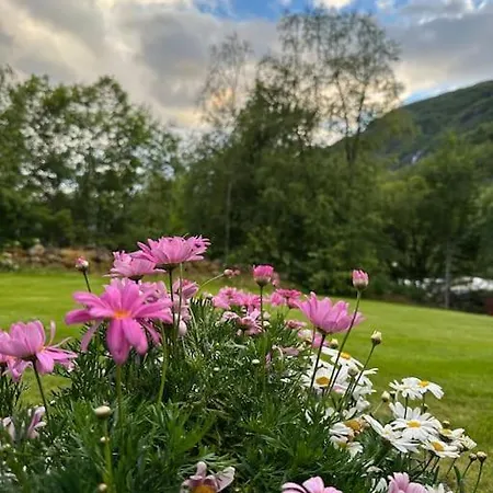 Flott Leilighet Odda-roldal Apartmán *
