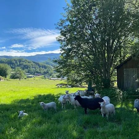 Flott Leilighet Odda-roldal *