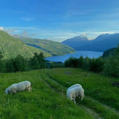 Flott Leilighet Odda-roldal Røldal