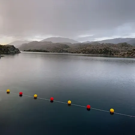 Flott Leilighet Odda-roldal *