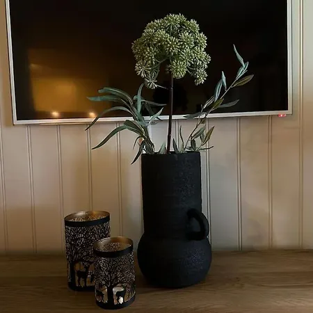 Flott Leilighet Odda-roldal Apartmán